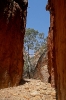 West MacDonnell Ranges - Standley Chasm