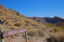 Larapinta Trail Section 5 - Rocky Saddle
