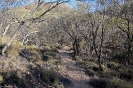 Larapinta Trail Section 9