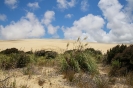 Roadtrip Neuseeland - Giant Sand Dunes