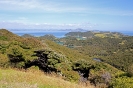 Roadtrip Neuseeland - Urupukapuka Island