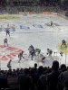 Eishockey Stadt Mannheim - auf dem Weg zum Titel!
