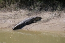 East Aligator (Erre) Region- Kakadu National Park