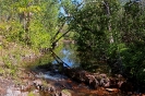 Walker Creek - Litchfield National Park
