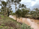 Todd River - Alice Springs