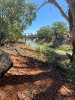 Moving To Sydney - Wilcannia