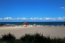 Coogee Beach to Bondi Beach (Coastal Walk)